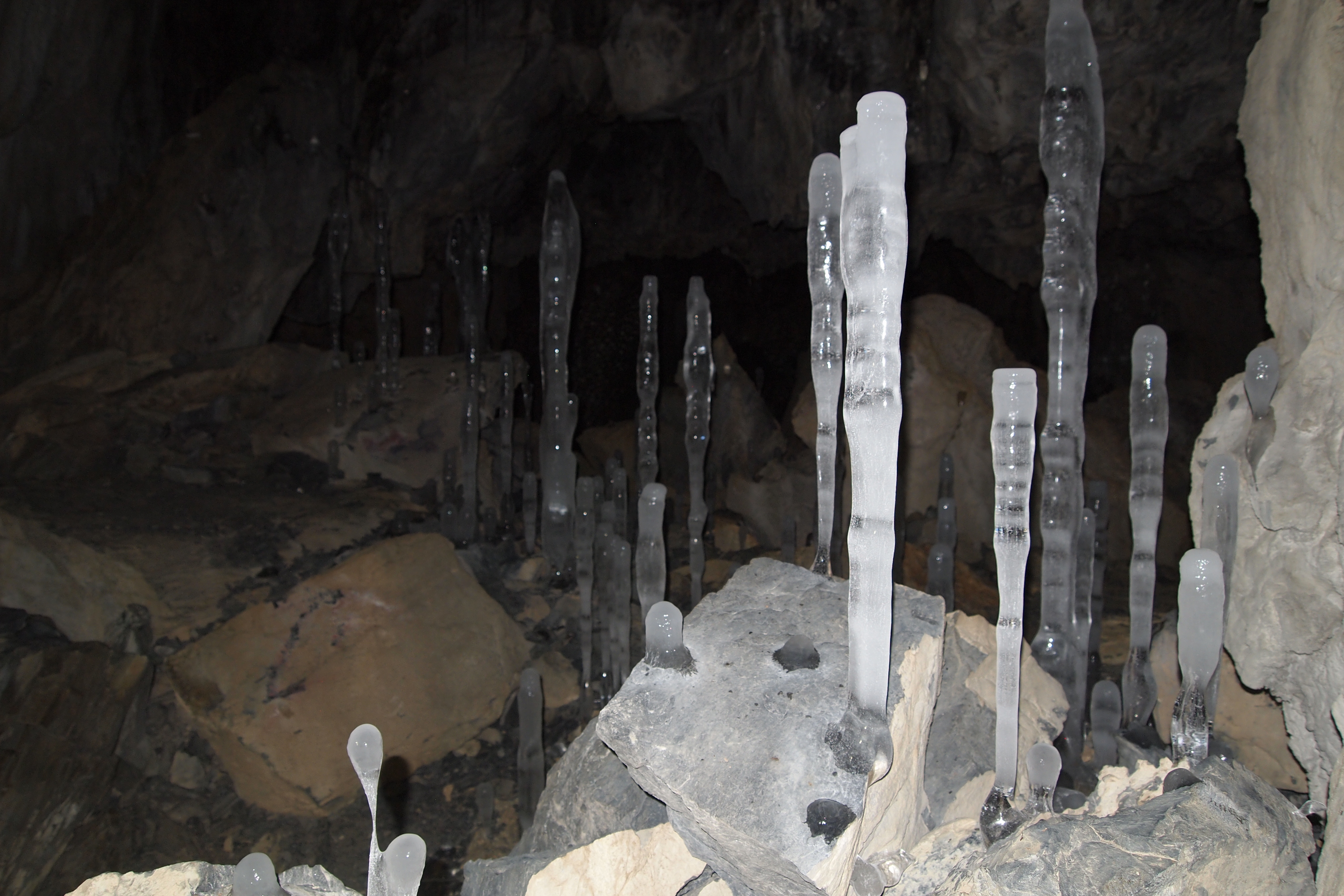 画像：氷筍の成長記録＠内間木洞（２月３日時点）
