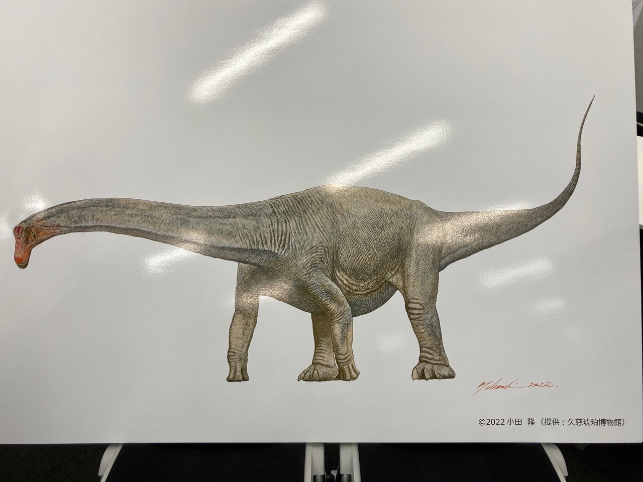 画像：久慈市から発掘された恐竜の歯の化石に関する研究の記者会見に出席しました。